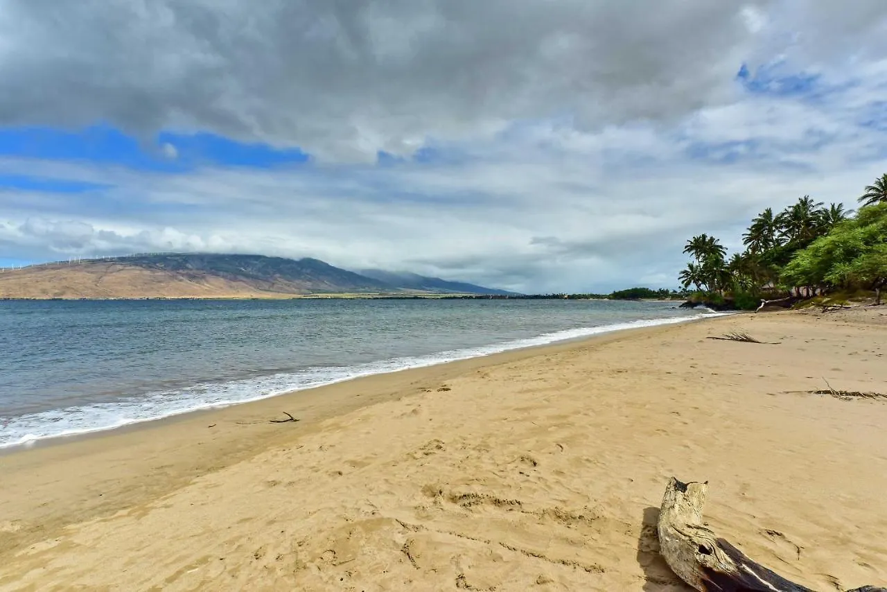 Apartamento Kihei Condo Steps To Kalepolepo Beach Park!